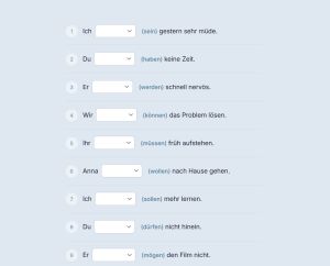 Screenshot grammaticaoefeningen